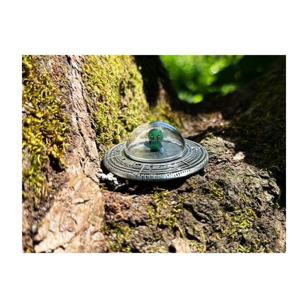 3D UFO Geocoin - op schors