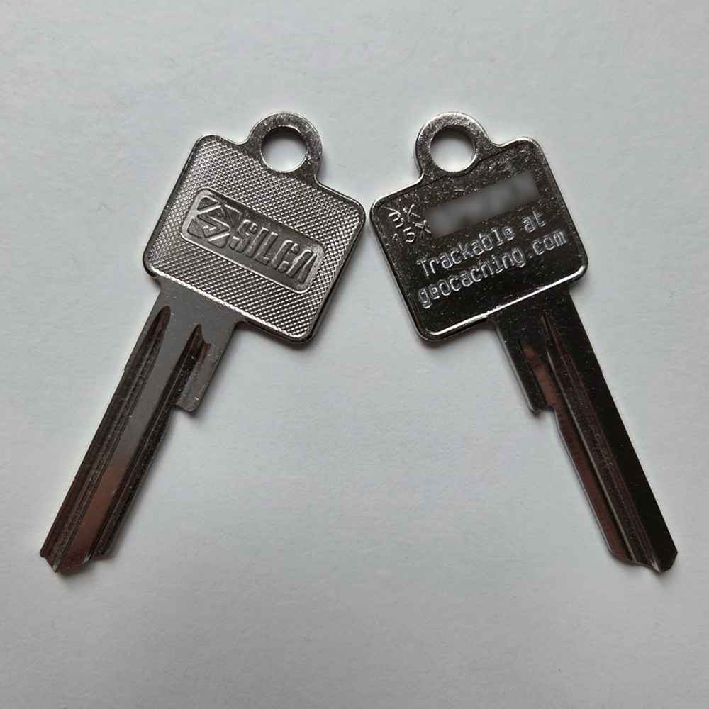 The key to success Travel Tag